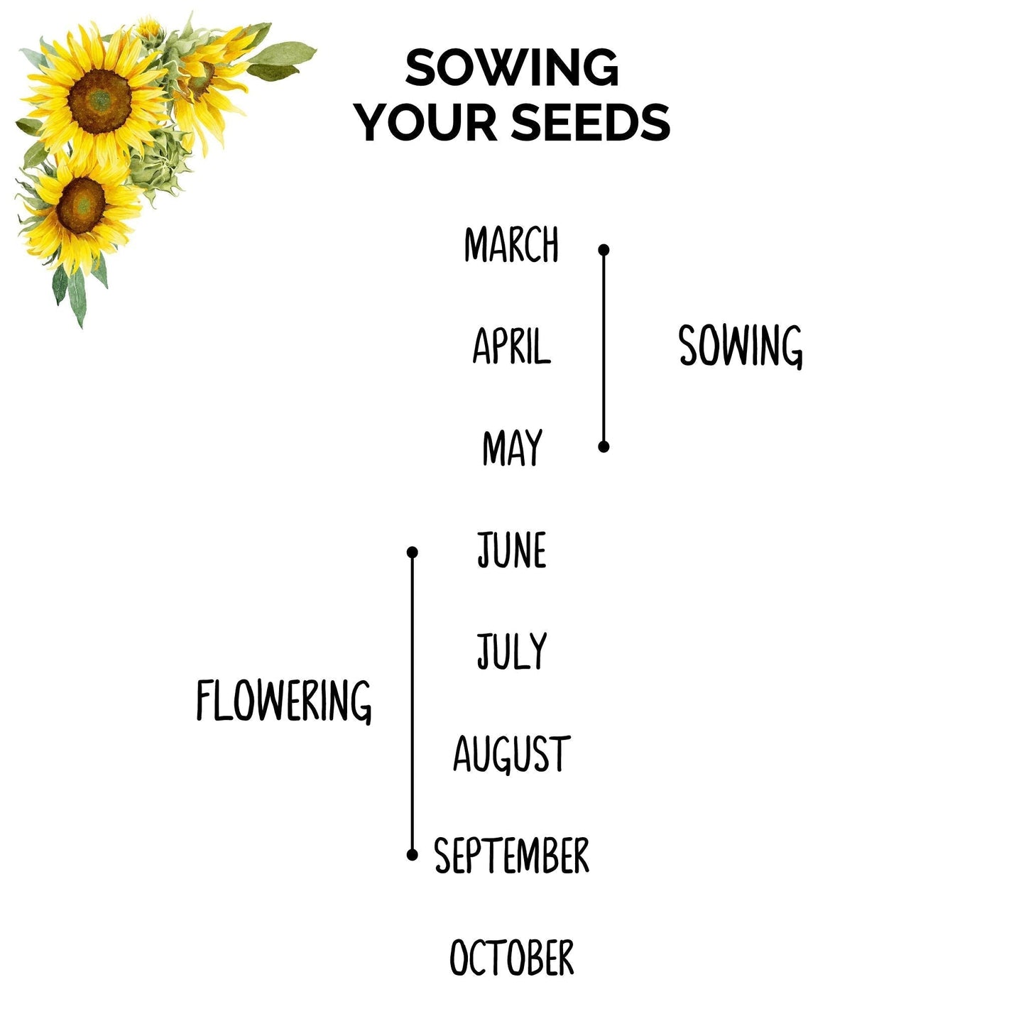 Personalised Sunflower Seed Bereavement Gift Favours